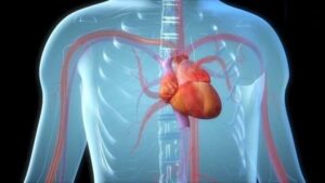 1544743019 85 rila studios