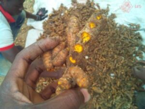 1547738764 28 legend organic vegetables company limited 1