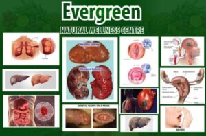 1577007923 27 evergreen natural wellness clinic 1