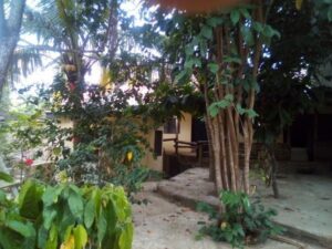 Commercial Restaurant1