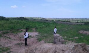 aman investment and properties ltd2