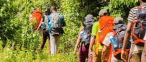 can do land tours2