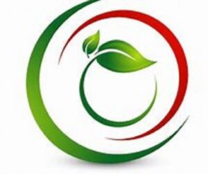 farm house and consultancy services